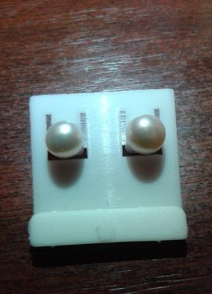 Сережки жечуг натур. на гвоздиках