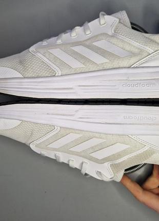 Кросівки adidas 6