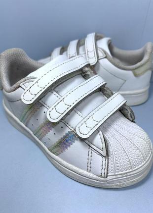 Кросівки шкіряні adidas superstar