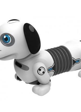 Інтерактивна іграшка silverlit робот-собака dackel junior (88578)4 фото
