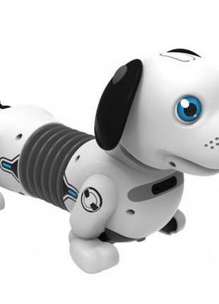 Інтерактивна іграшка silverlit робот-собака dackel junior (88578)5 фото