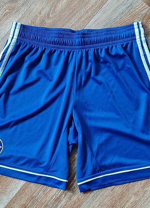 Шорты adidas chelsea climacool