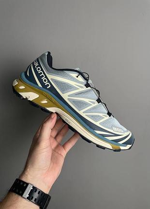 Кросівки salomon xt-6 adv dover silver beige advanced