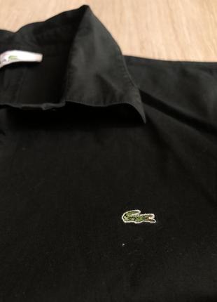 Черная рубашка lacoste 150 гривен2 фото