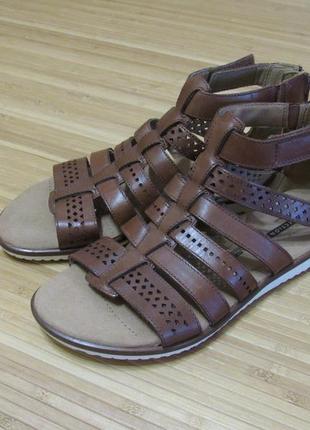 clarks tan gladiator sandals