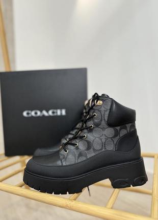 Черевики coach