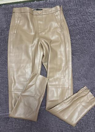 Лосіни брюки зара