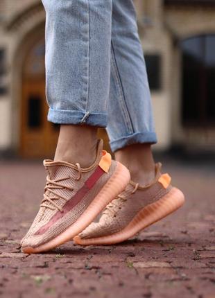 Кроссовки adidas yeezy boost 350 v2 clay кросівки2 фото