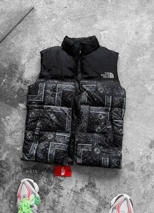 Мужская жилетка tnf