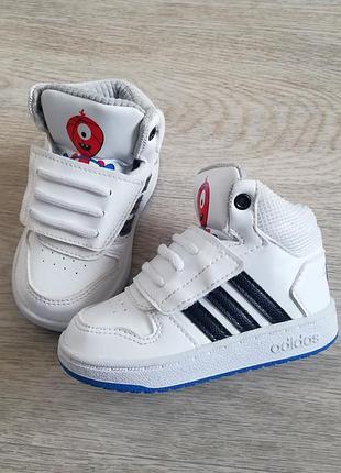 Ботинки хайтопы белые adidas hoops mid 22 размер