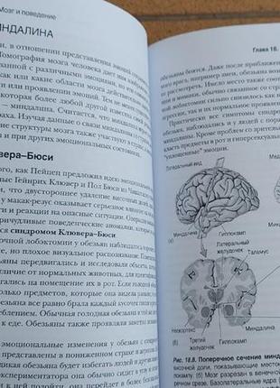 Марк ф. беар, "нейронауки. дослідження мозку", 3 томи, нові4 фото