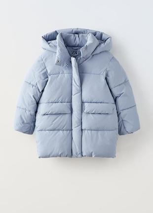 Классная курица зима/еврозима