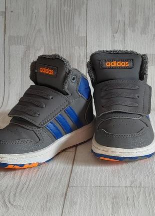 Кросівки хайтопи снікерси adidas hoops mid 2.02 фото