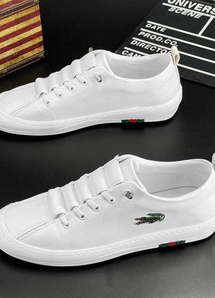 Кросівки lacoste кеди лакоста