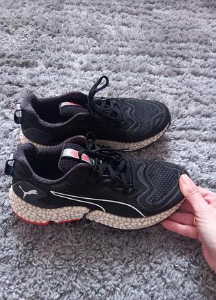 Кросівки puma