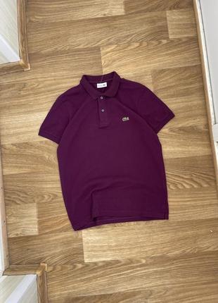 Поло lacoste, polo by ralph lauren,лакоста,tommy hilfiger,hugo boss