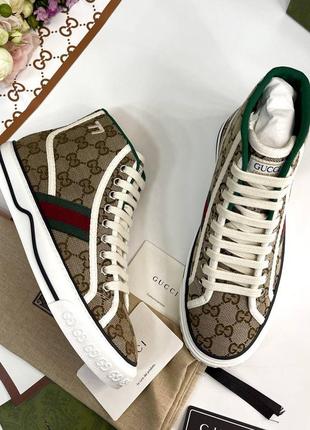 Кеды gucci