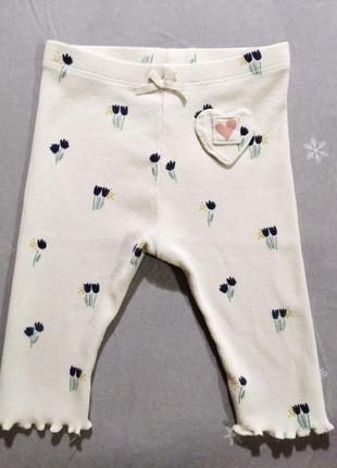 Штаники лосины