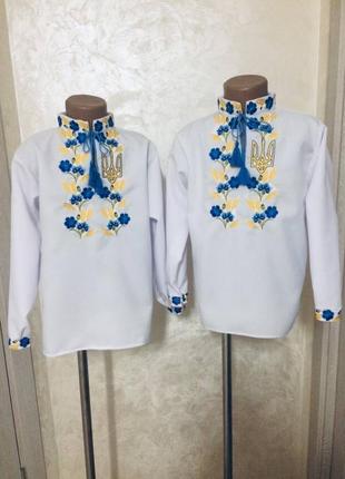 Вишиванка колоски і волошки