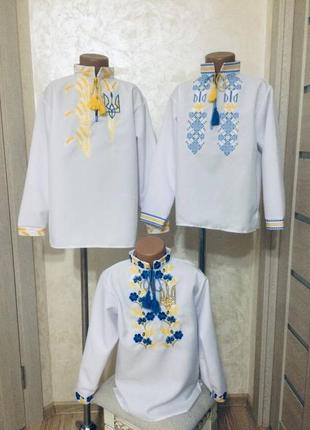 Вишиванка колоски і волошки