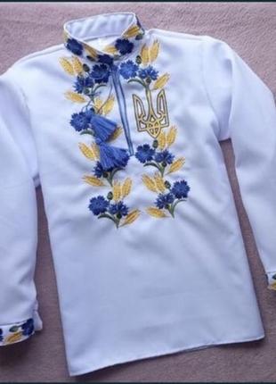 Вишиванка колоски і волошки