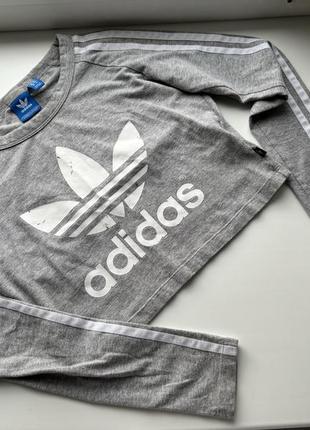 Adidas костюм комплект лосіни кроптоп