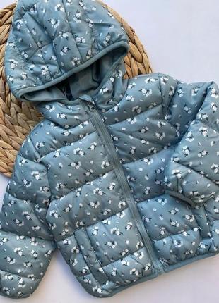 Демісезонна куртка