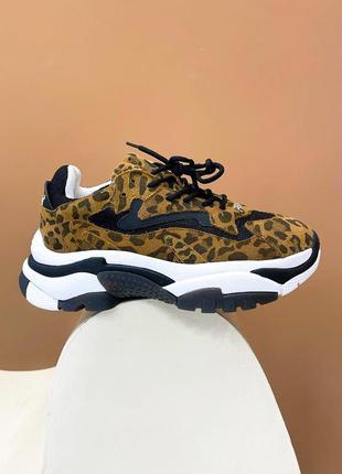 Нереальные женские кроссовки ash leopard леопардовые1 фото