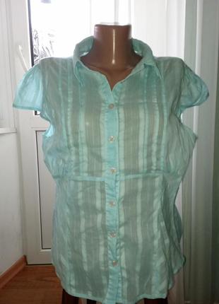 Батистова рубашка батал