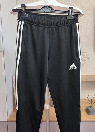 Спортивні штани adidas men sereno 3s tapered fleece pants black run athletic jogger
оригінал4 фото