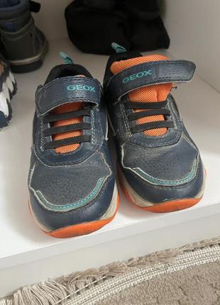 Красовки geox