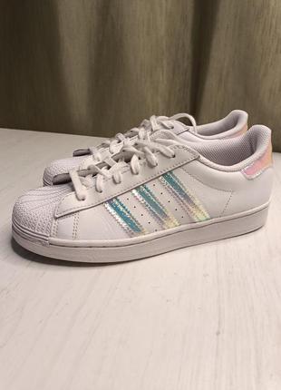 Кеди adidas superstar