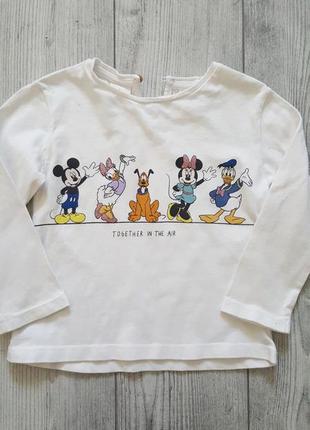 Набор комплект костюм для девочки реглан zara disneymickey mouse и джинсы hema6 фото