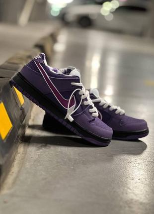 🔥новинка🔥 кросівки унісекс nike sb dunk low purple lobster