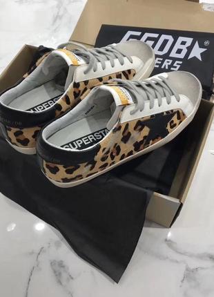Кеды кроссовки сникерсы golden goose ggdb4 фото
