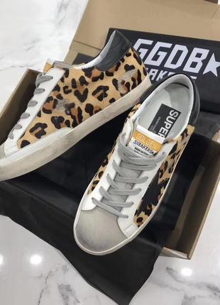 Кеды кроссовки сникерсы golden goose ggdb5 фото