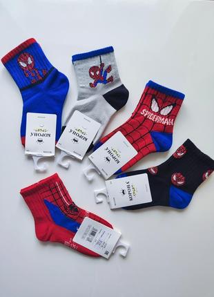 Шкарпетки для хлопчиків від 2 до 10 років
