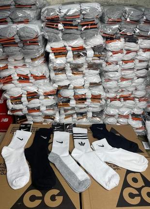 Високі білі носки nike 12пар