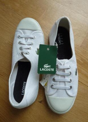 Стильные кеды на шнуровке-резинке lacoste sport, 32. оригинал