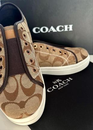 Кеди coach