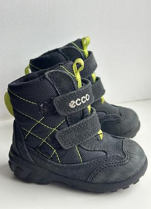 Демісезоні хлопчачі сапожки