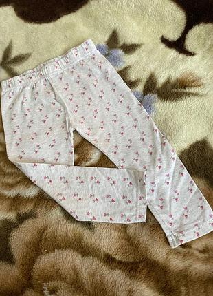 Лосіни. штани.