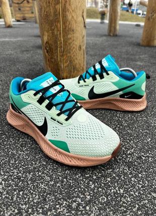 Nike pegasus trail