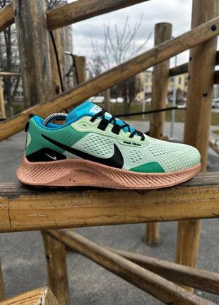 Nike pegasus trail4 фото