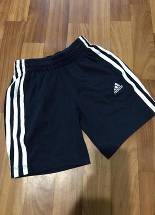 Adidas шорты