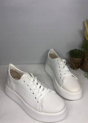 Кеди/кросівки