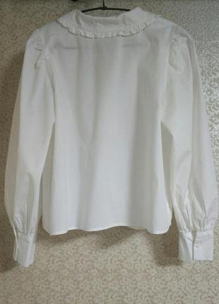 H&m divided h&m стильна біла блузка блуза сорочка топ  кроп великий комір бренд divided h&m uk123 фото