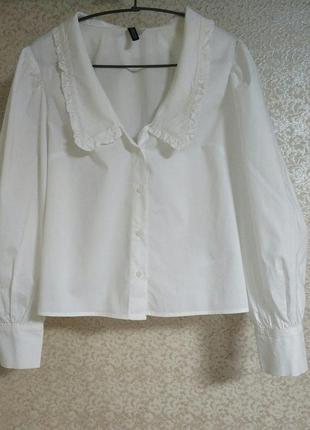 H&m divided h&m стильна біла блузка блуза сорочка топ  кроп великий комір бренд divided h&m uk122 фото