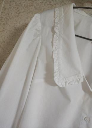 H&m divided h&m стильна біла блузка блуза сорочка топ  кроп великий комір бренд divided h&m uk124 фото