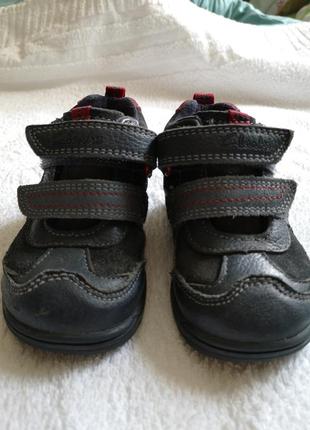 Кожаные ботинки clarks на липучках